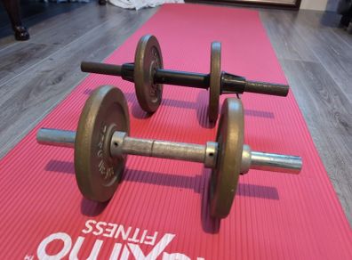 Two 6kg Dumbbells (12kg total)