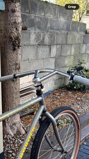 Bullmoose handlebars