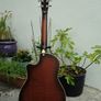 Leewald 12 fret wood resonator guitar Image 5