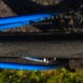 Giant TCR Image 8