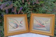 A Pair Of Beautiful Mixed Media on Canvas