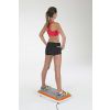 VibroShaper Fitness Plate HALF PRICE