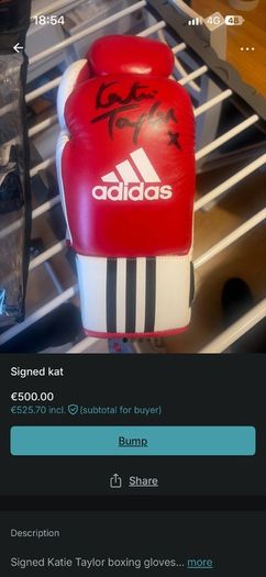 katie Taylor signed gloves