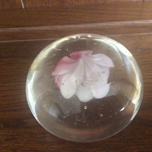 A pair of floral clear glass paperweights