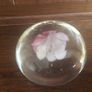A pair of floral clear glass paperweights Image 5