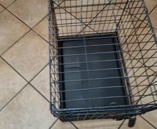 dog cage