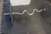 Olympic curl bar &amp; 2X5KG Plates