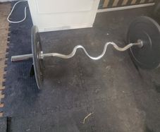 Olympic curl bar & 2X5KG Plates