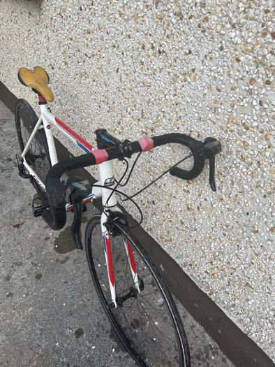 Carrera karkinos