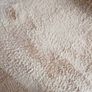 rug Image 3