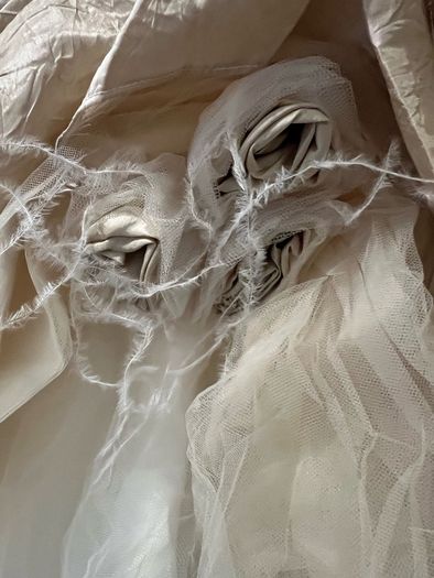 Champagne Wedding Dress & Swarovski Crystal Veil