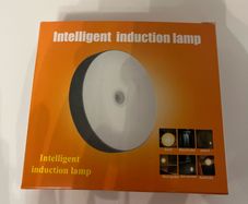 Motion sensor night lights