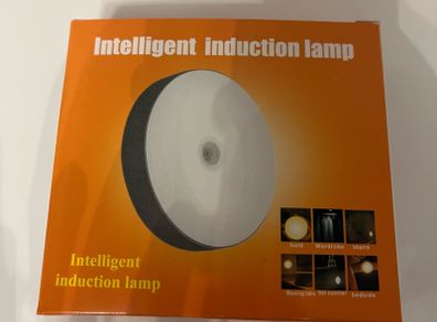 Motion sensor night lights
