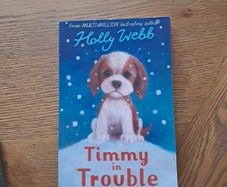 Timmy in trouble