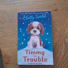 Timmy in trouble