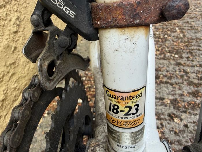Raleigh Pioneer