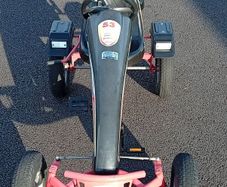Dino kart 2 seater Go Kart