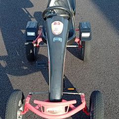 Dino kart 2 seater Go Kart