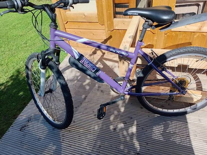 adults bike