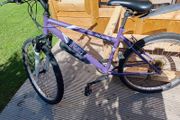 adults bike