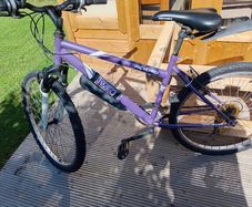 adults bike
