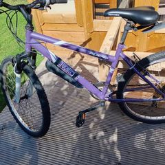 adults bike