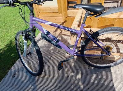 adults bike
