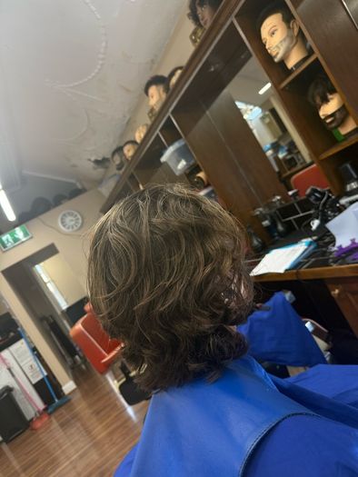Free Haircuts Models