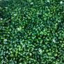 50X50 cm plastic plants Image 3