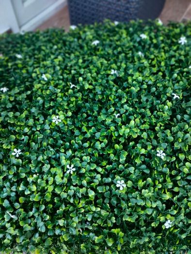 50X50 cm plastic plants