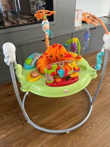 Baby Bouncer