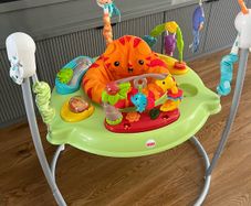 Baby Bouncer