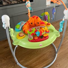 Baby Bouncer