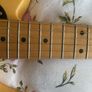 Fender vintera 50 telecaster 2019 Image 9