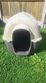 Dog  house
