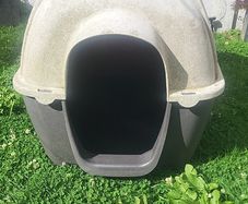 Dog  house