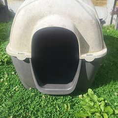 Dog  house