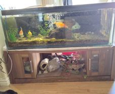 Fish Tank on TV unit
