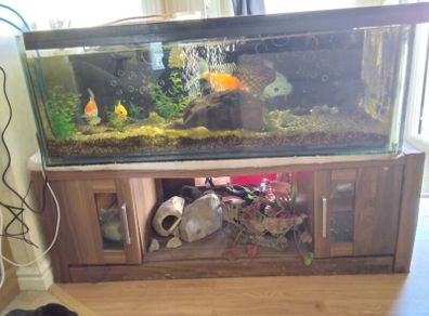 Fish Tank on TV unit