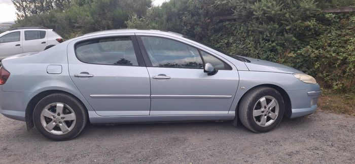 2009 Peugeot 407