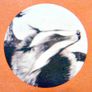 Badger - White Lady Vinyl LP Classic Rare Image 3