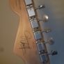 Fender Jimmie Vaughan stratocaster neck Image 4