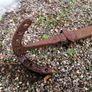 Section of Pierce No:3 Plough Part Image 6