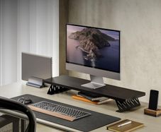 Fenge dual monitor stand riser