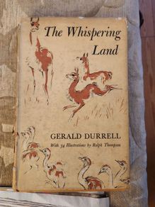 The Whispering Land. By Gerald Durrell. Illustrated By Ralph Thompson.  First Edition Hardback With Dustjacket.  Dustjacket  Tatty. Book Good Condition.35.