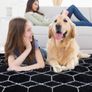 Geometric Rugs for Bedroom, 120x170cm Black and White Lines Fluffy Area Rugs for Living Room, Kids Room, Nursery Decor, Non-Slip Modern Shaggy Floor Carpet, Low Shedding Image 4