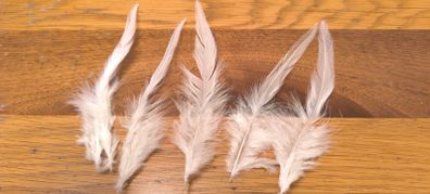 white feathers 50pcs