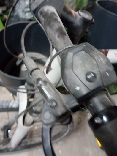 bicycles