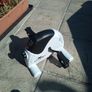 Crane Under Table Exercise Portable Peddle Machine Image 4