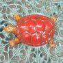 Turtle - Enameled Bronze Image 7